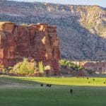 Rising Cliffs above green fields and cattle