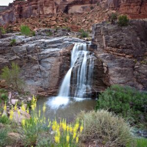 A waterfall cascades over desert rock formations