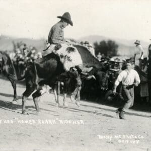 black and white photo of a cowboy on a bucking horse