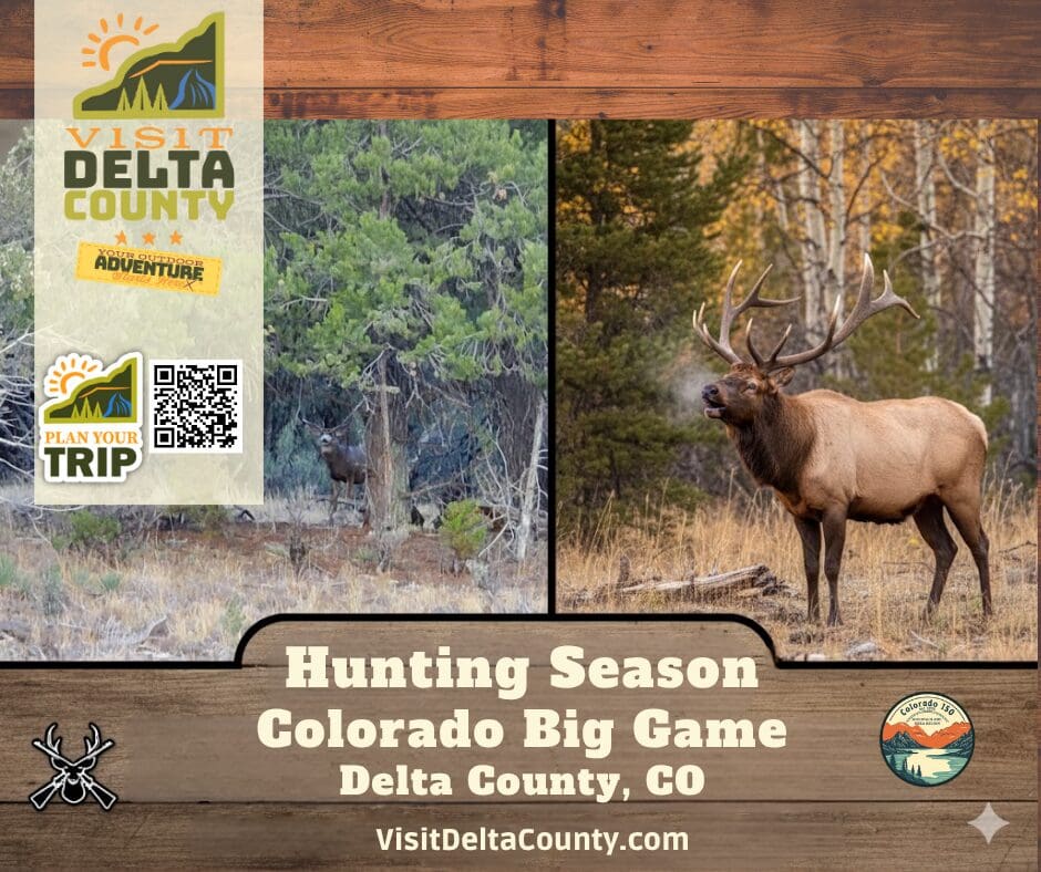 Hunting Season Colorado Big Game Delta County, Co visitdeltacounty.com