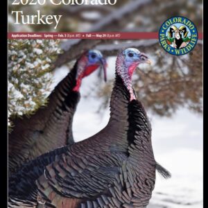 Official Document Cover: 2026 Colorado Turkey application information guide from Colorado Parks & Wildlife. The image features two wild turkeys with dark, iridescent feathers and bright blue and red heads standing in a light dusting of snow near a pine tree. The CPW logo is in the upper right corner. A red horizontal bar lists the application deadlines: Spring—Feb. 3 (8 p.m. MT) and Fall—May 29 (8 p.m. MT).