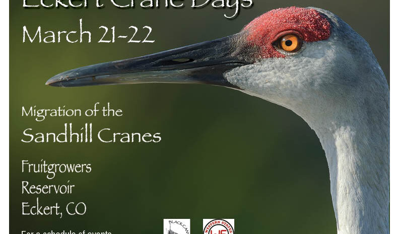 Event flyer for Eckert Crane Days 2026, March 21–22. Close-up photo of a Sandhill Crane's head with a red crown and orange eye.
