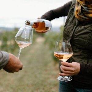 A close-up shot in a vineyard setting where a person is pouring a light-colored rosé wine from a bottle into a glass held by another person. The background shows soft, blurred rows of grapevines.