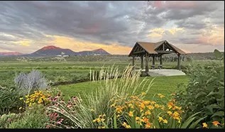 a picture of a lush meadow with wild flowers, a wovered wooden bridge over a small brook in front of mountains