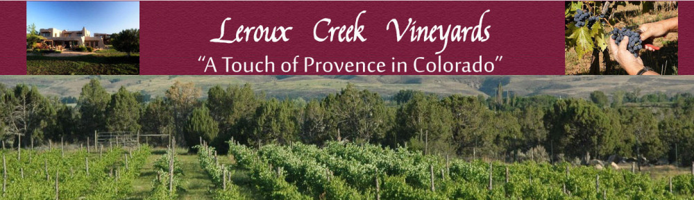 panoramic view of Leroux Creek Vineyards in Spring