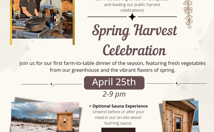 A floral-themed promotional flyer for the "Spring Harvest Celebration" at Honey Rock. Visual Composition: Border: The top and bottom of the flyer are framed by delicate illustrations of cream-colored peonies and hanging wisteria-style flowers. Photography: A photo on the left shows Chef Mike Winston standing at an outdoor kitchen next to a stainless steel pizza oven. Two photos at the bottom show a "Fire Within Sauna" mobile wood-burning sauna parked in a snowy landscape. Typography: Elegant script reads "Spring Harvest Celebration" in the center. Details: The text announces the event on April 25th from 2-9 pm, featuring a farm-to-table dinner and an optional sauna experience. The "Fire Within Sauna" logo is featured in a small black square.
