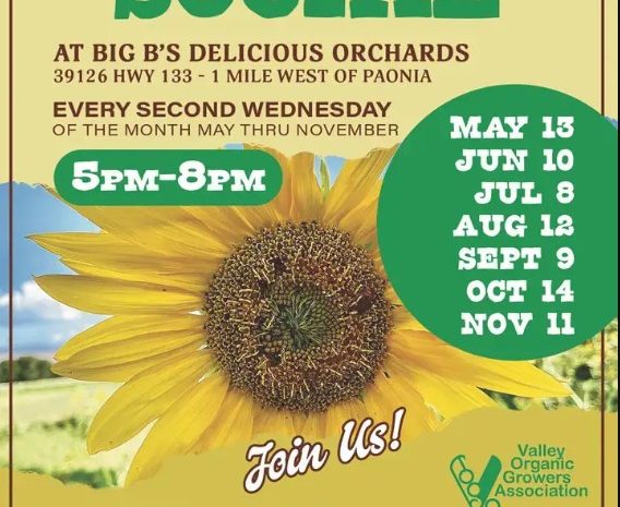 Promotional flier fopr VOGA Farmers Socials at Big B's Orchard with a sunflower on a yellow background