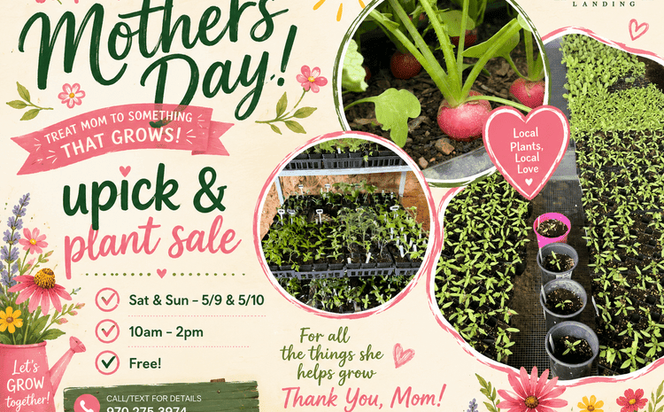 Mother’s Day U-pick & plant sale flyer for Honey Rock Landing. Sat & Sun, May 9-10, 10am-2pm. Free admission. Features photos of radishes and garden starts with pink floral accents.
