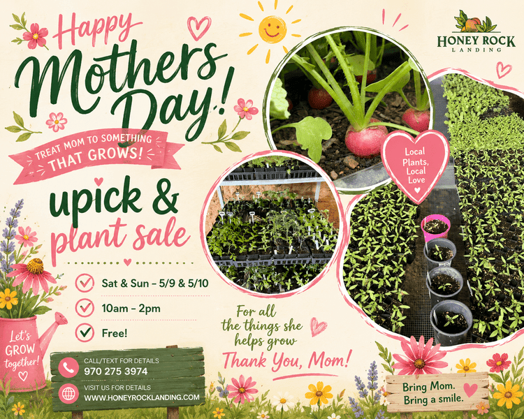 Mother’s Day U-pick & plant sale flyer for Honey Rock Landing. Sat & Sun, May 9-10, 10am-2pm. Free admission. Features photos of radishes and garden starts with pink floral accents.