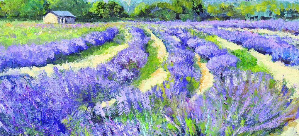 15th Annual Colorado Lavender Festival flyer. June 26-28, 2026. Features farm tours and festival in the park info with a photo of a blooming purple lavender field under a blue sky.