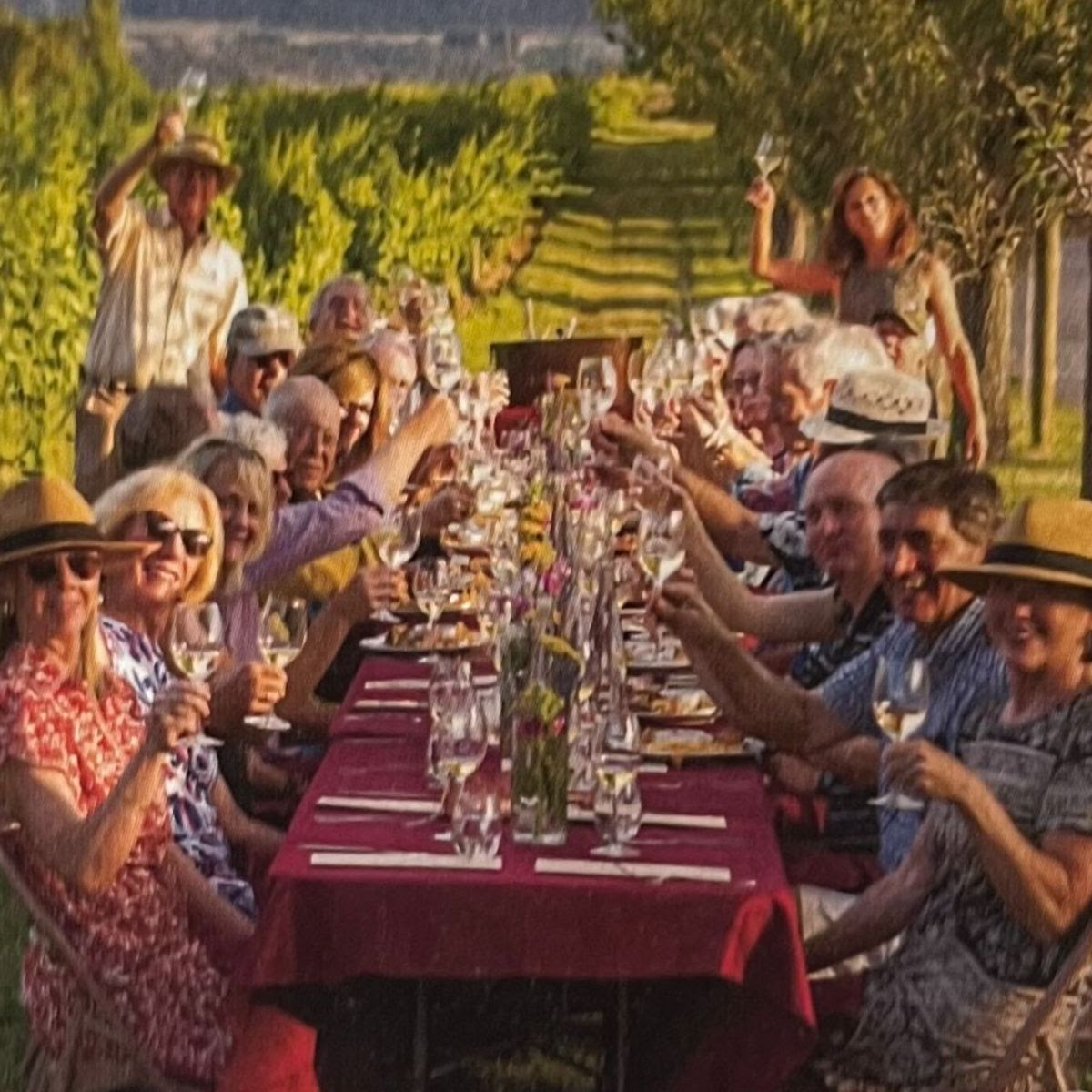 A group of people outdoors at a beautifully set table with wine glasses