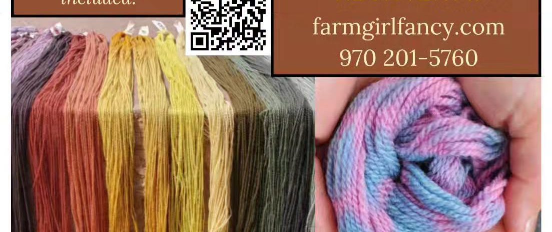 Event flyer for a Mushroom & Lichen Dyeing Workshop on September 12-13 at Big B's Delicious Orchards. Shows colorful yarn skeins dyed with wild fungi and an instructional QR code.