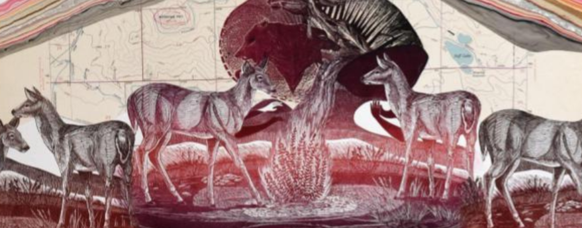 Event flyer for Johanna Mueller's Demo and Q&A at the Blue Sage Gallery on Tuesday, June 23 from 4 to 6 PM. Features a highly detailed relief print of deer and wildlife over a red landscape background.